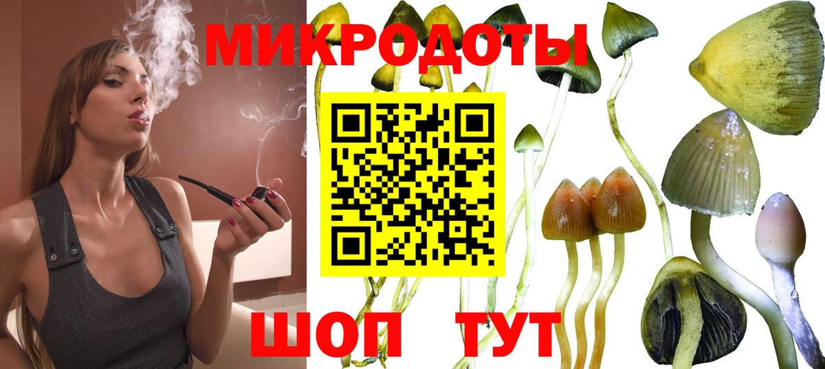 Псилоцибиновые грибы мицелий  Галлюциногенные грибы Psilocybe  Анжеро-Судженск  купить наркоту  Вход с VPN 